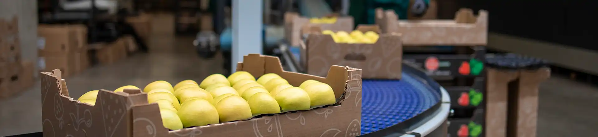 ERP solution Fresh food supply chain