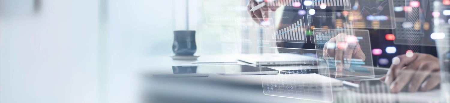 Joget Low-Code Development Services