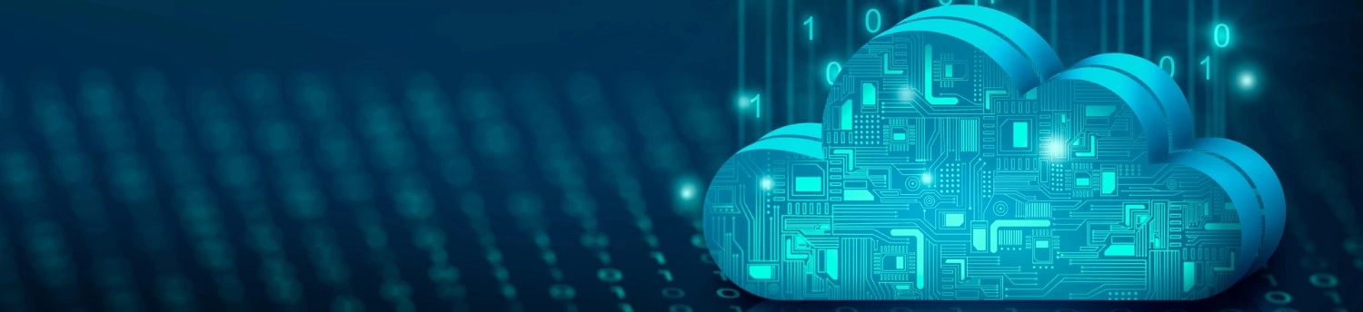 Oracle Cloud ERP & EBS Services